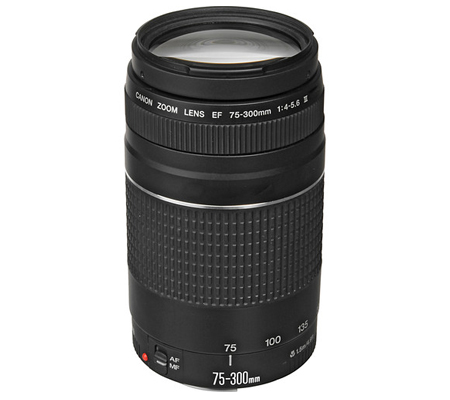 Canon EF 75-300mm f/4-5.6 III Lens