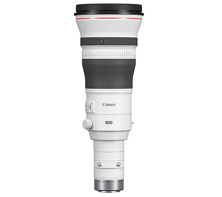 Canon RF 800mm f/5.6L IS USM Lens