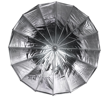 Profoto Umbrella Deep Silver Medium.